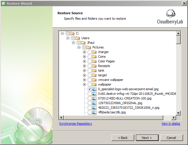 Pick Which Files to restore