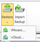 Click the restore button and select "vCloud" to start the restore wizard