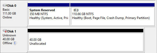 disk offline